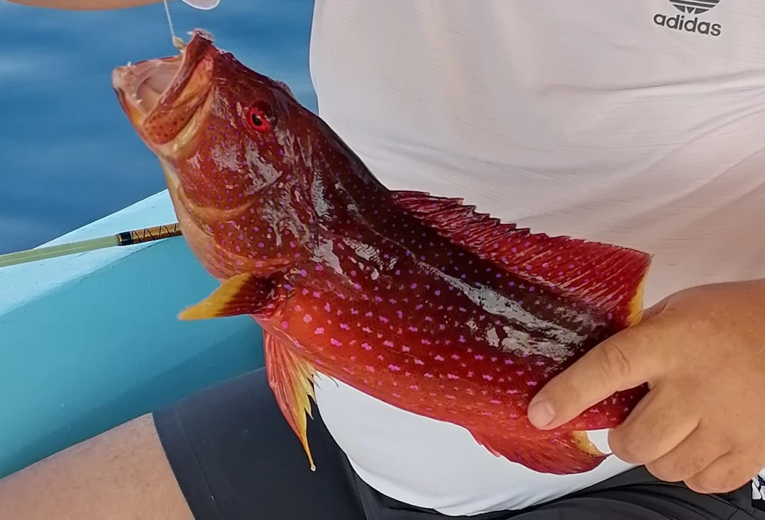 Очень хотелось бы поблагодарить нашего гида Валида за увлекательную экскурсию в мир Древнего Египта, которую он