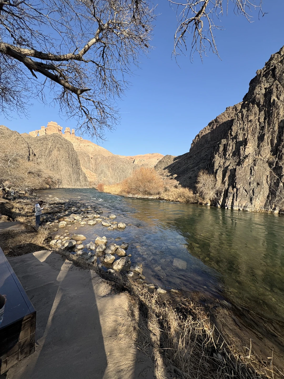 Невероятное чудо расчудесное)))