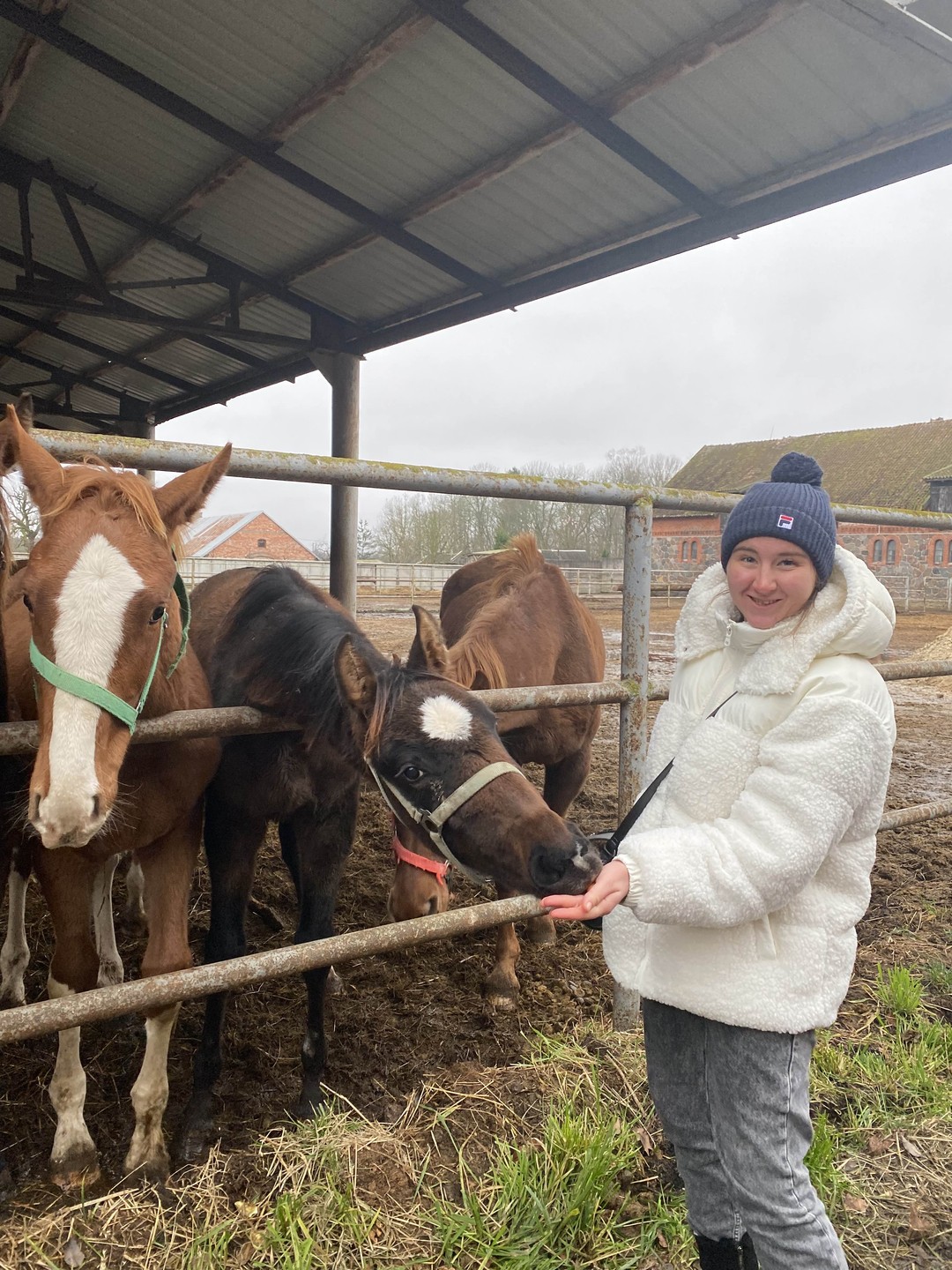 Отличная экскурсия! Рекомендую! Единственное не было остановок на просмотр городов (хоть немного) А так все классно! Лошадки больше всего понравились!
