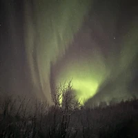 Фото отзыва 3: экскурсия "В погоню за полярным сиянием!"