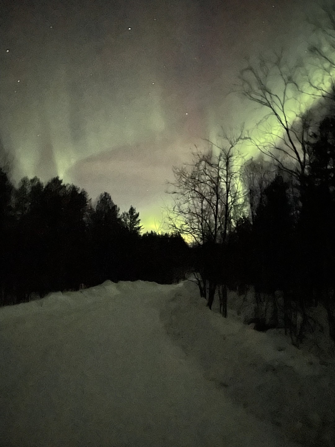 Северное сияние: на поиски солнечного ветра (Елена)