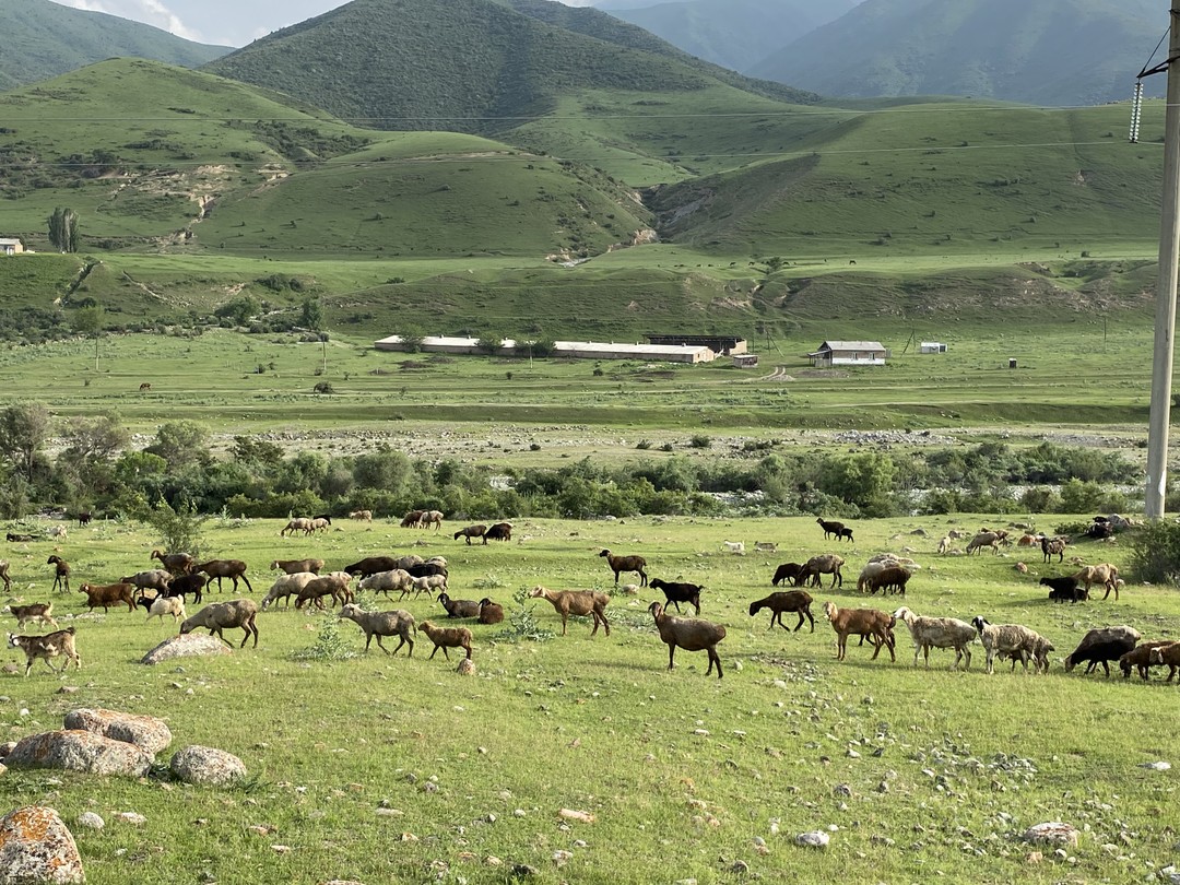 Гранд-Каньон в миниатюре (Мария)