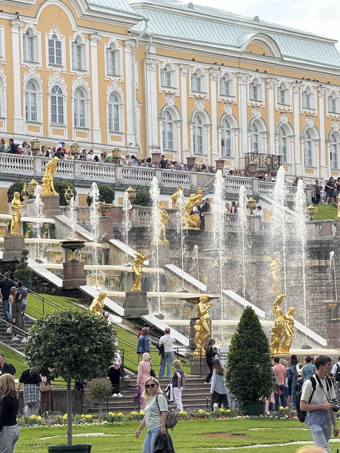Петергоф от А до Я: метеор, Нижний парк и экскурсия в Большой дворец (билеты включены) (Кристина)