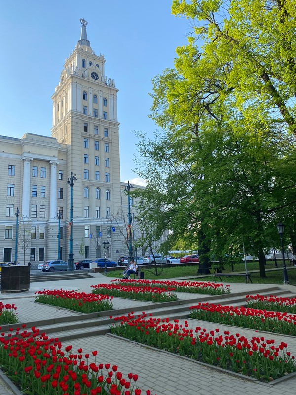 Весь Воронеж - в одном маршруте