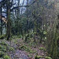 Фото отзыва 1: экскурсия "﻿Групповая экскурсия по солнечной Абхазии"