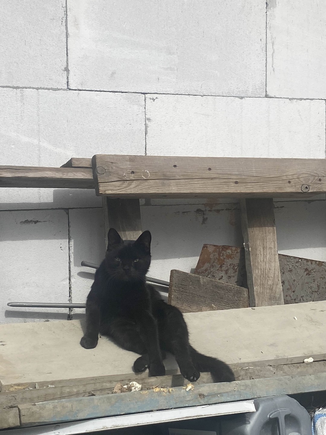 Спасибо Нураву за отличное путешествие. Показали лучшие виды где не было толп туристов, накормили до отвала 🦦 Все прошло отлично🫱🏼‍🫲🏽