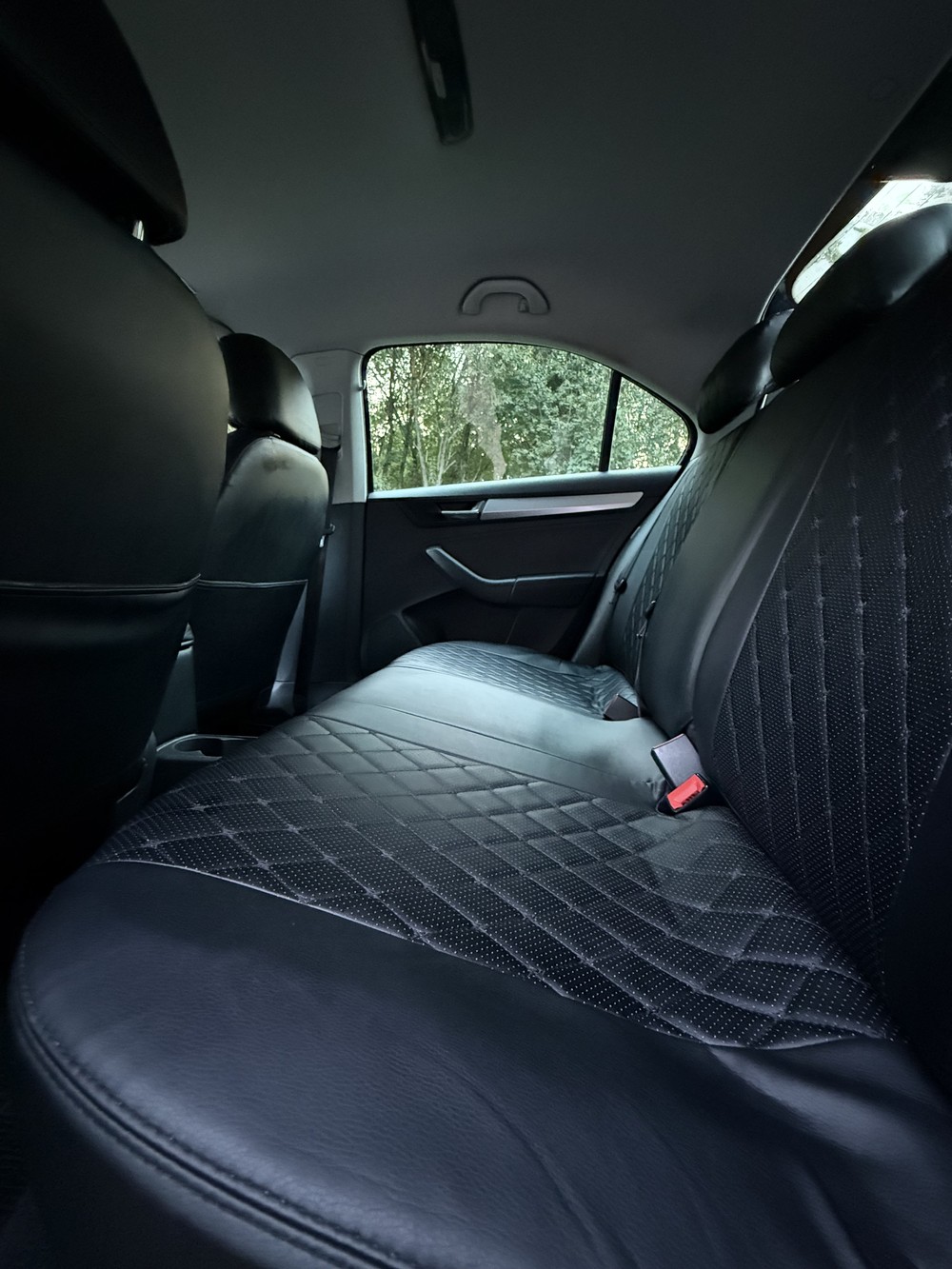 Трансфер из Бреста в Беловежскую пущу и обратно (23/23)