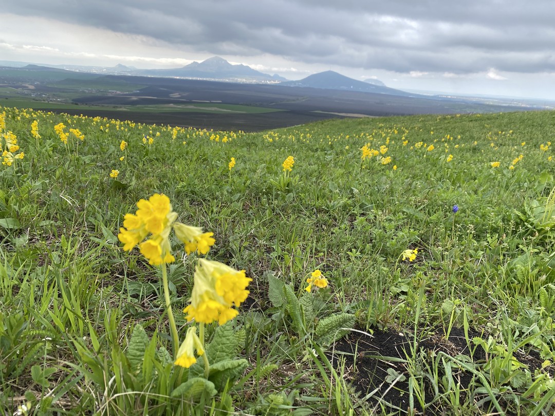 Интересная необычная экскурсия на 3 горы, посмотрели на Пятигорск с разных сторон. Егор интересный собеседник, классный