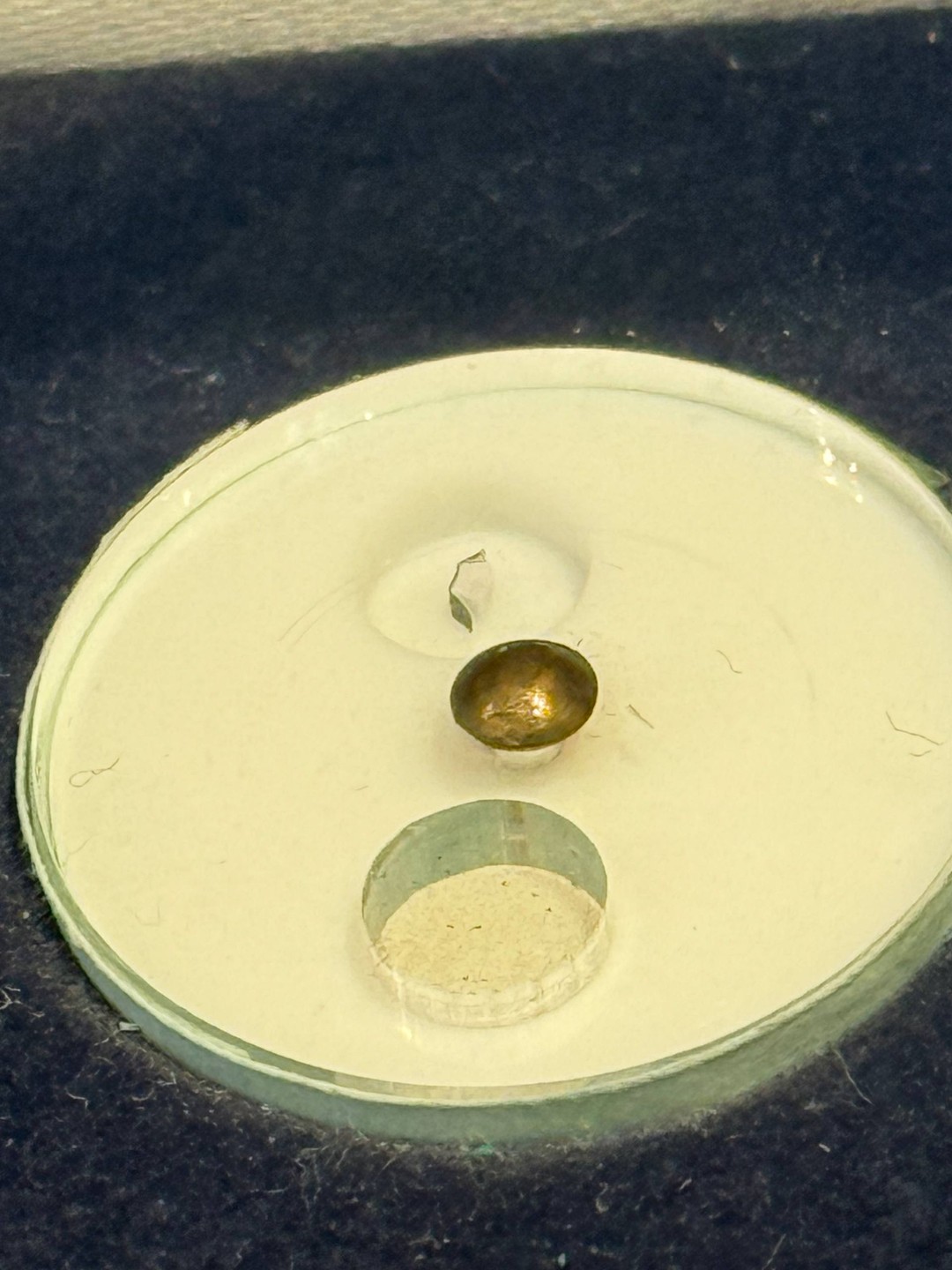 Баку all inclusive: расширенная обзорная экскурсия (Рада)