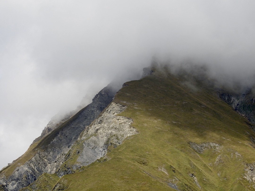 Отличная экскурсия, можно смело рекомендовать! Дмитрий и наш водитель Жак сделали день незабываемым!