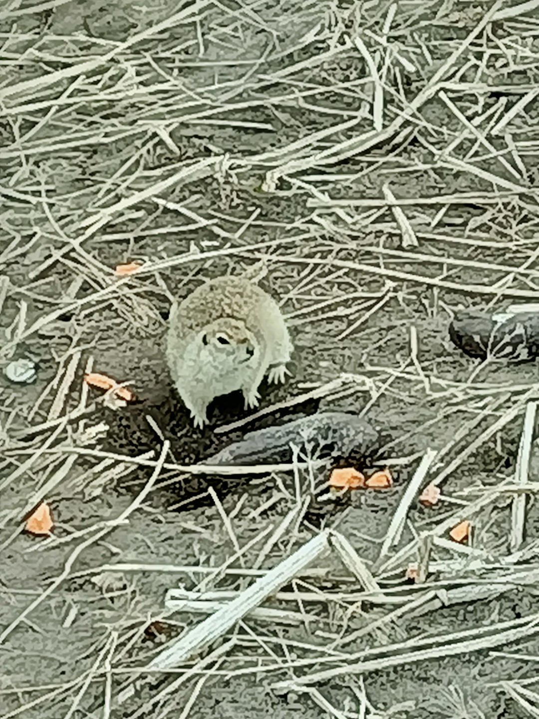 Сегодня 30 марта ездили на экскурсию с Владимиром из команды Андрея. Все прошло отлично!!! Важно: прекрасное