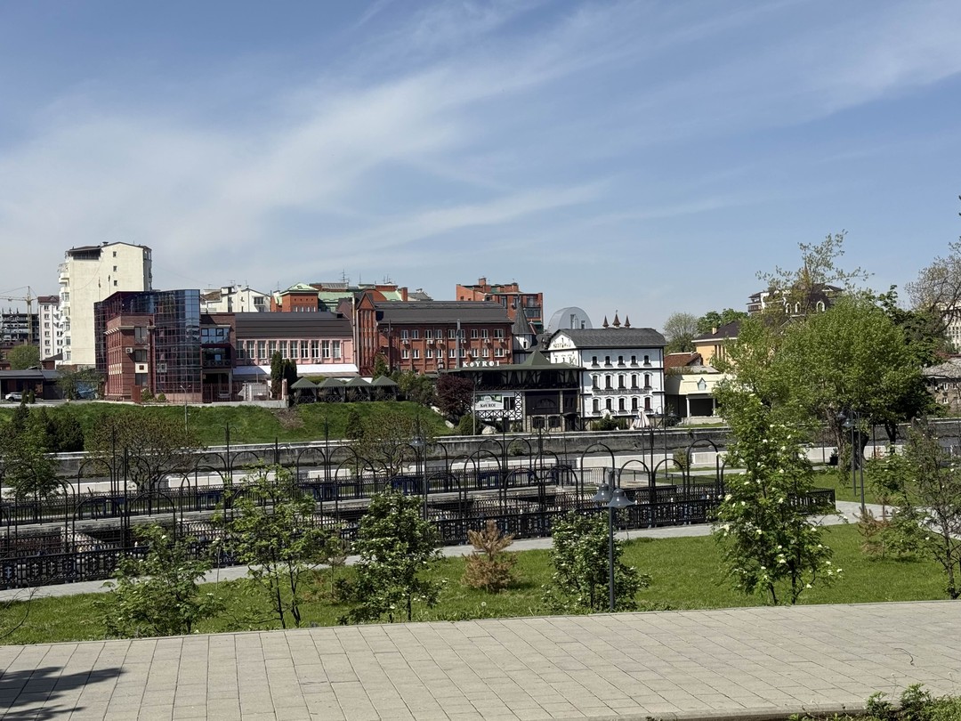 Владикавказ: архитектура, культура, городские истории (Елена)