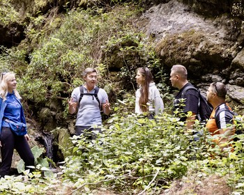 Горный массив Тено, водопады, треккинг в джунглях и купание в источниках