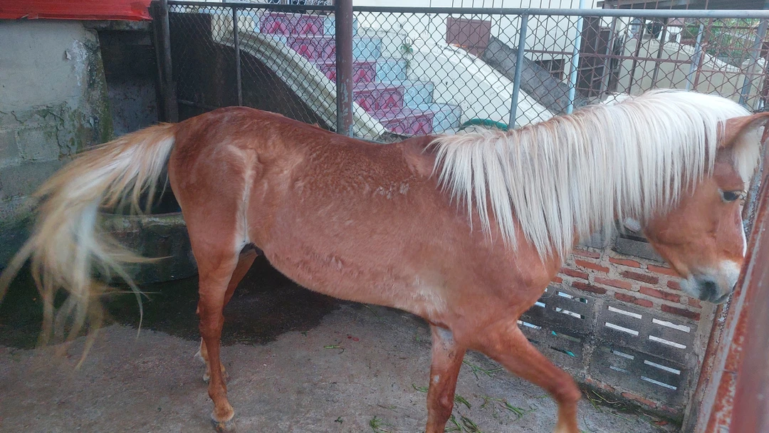 Экскурсия будет особенно интересна тем, кто в Тае впервые и не был в провинции. Впрочем, и матерые таетуристы получат немало новых впечатлений