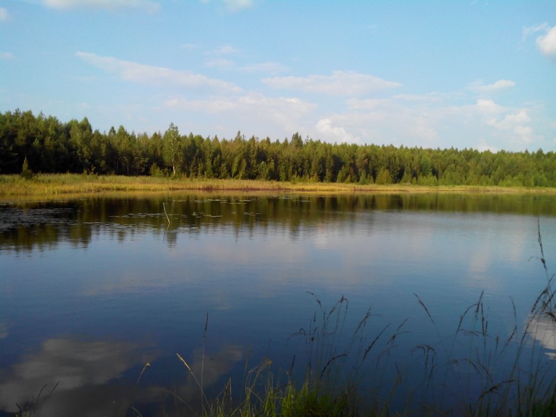Велопрогулка к Мещерским озерам