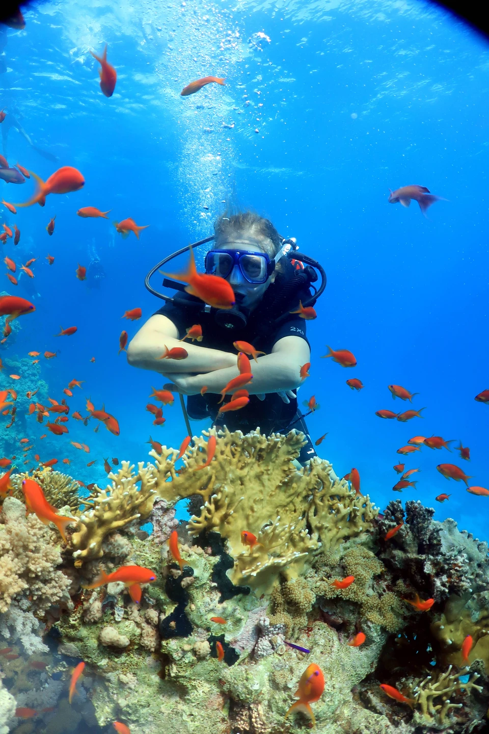 Экскурсия понравилась, погружение ориентировано на фотографа, позировать и потом за хорошую сумму купить это. Яхта хорошая