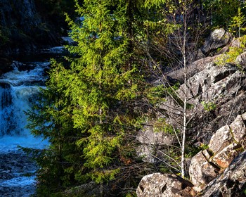 Водопад Кивач и парк «Белая гора. Тивдийский мрамор»