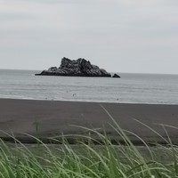 Фото отзыва 1: экскурсия "Халактырский пляж: добраться до края света"