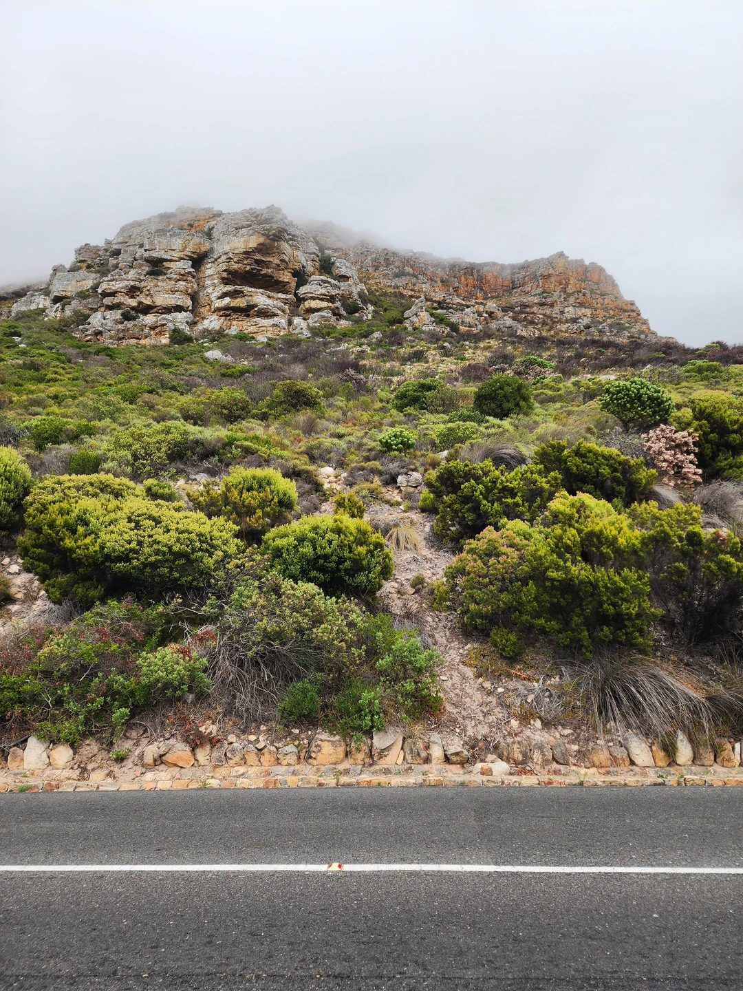 В первый свой полноценный день на Южноафриканской земле вообще и в Кейптауне в частности мы с