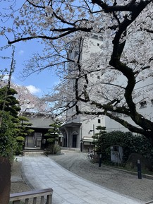 Фото отзыва 2: экскурсия "Знакомьтесь, Токио!"