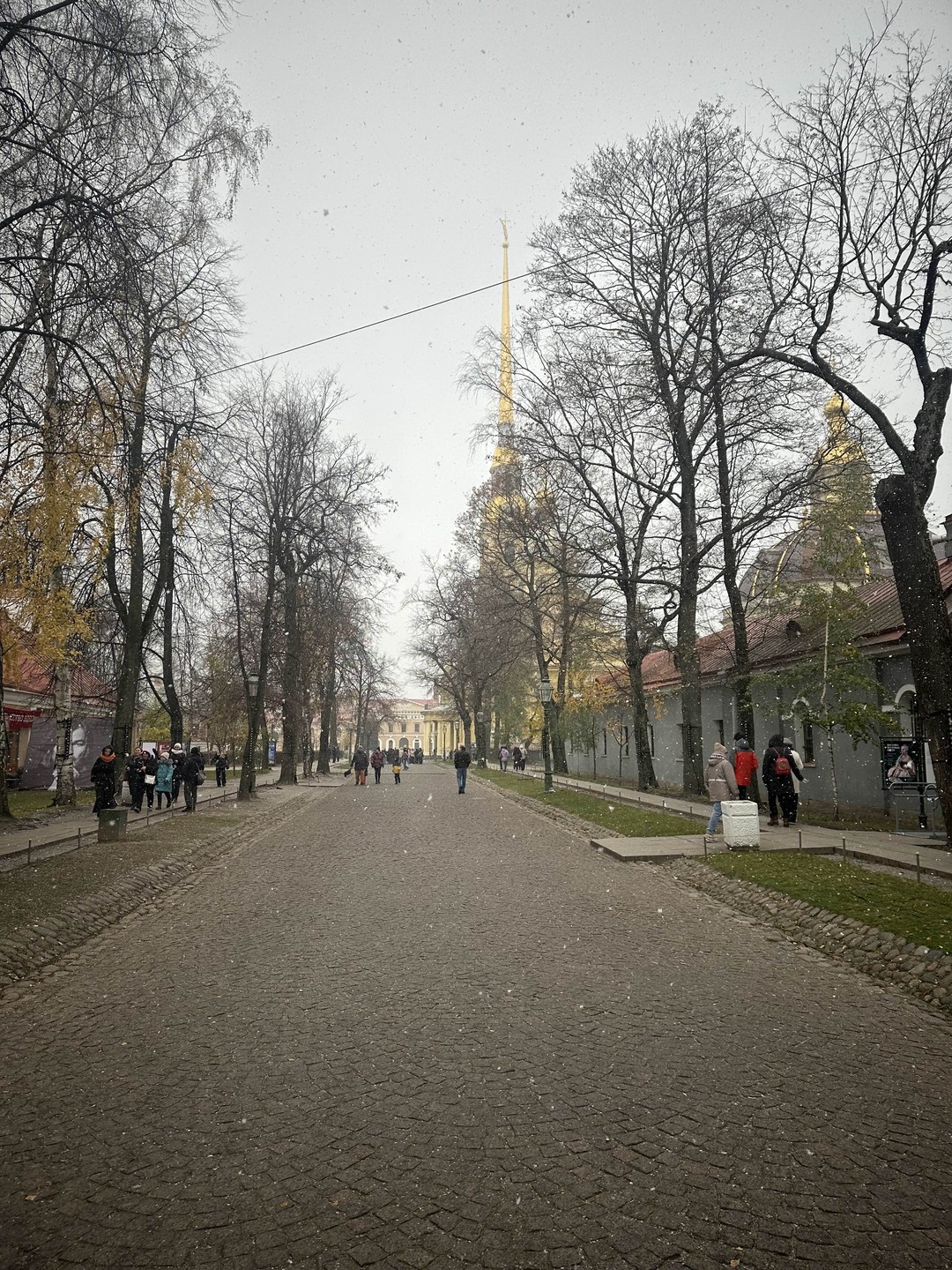 На минивэне - по Петербургу (с посещением Петропавловской крепости) (Дмитри1)