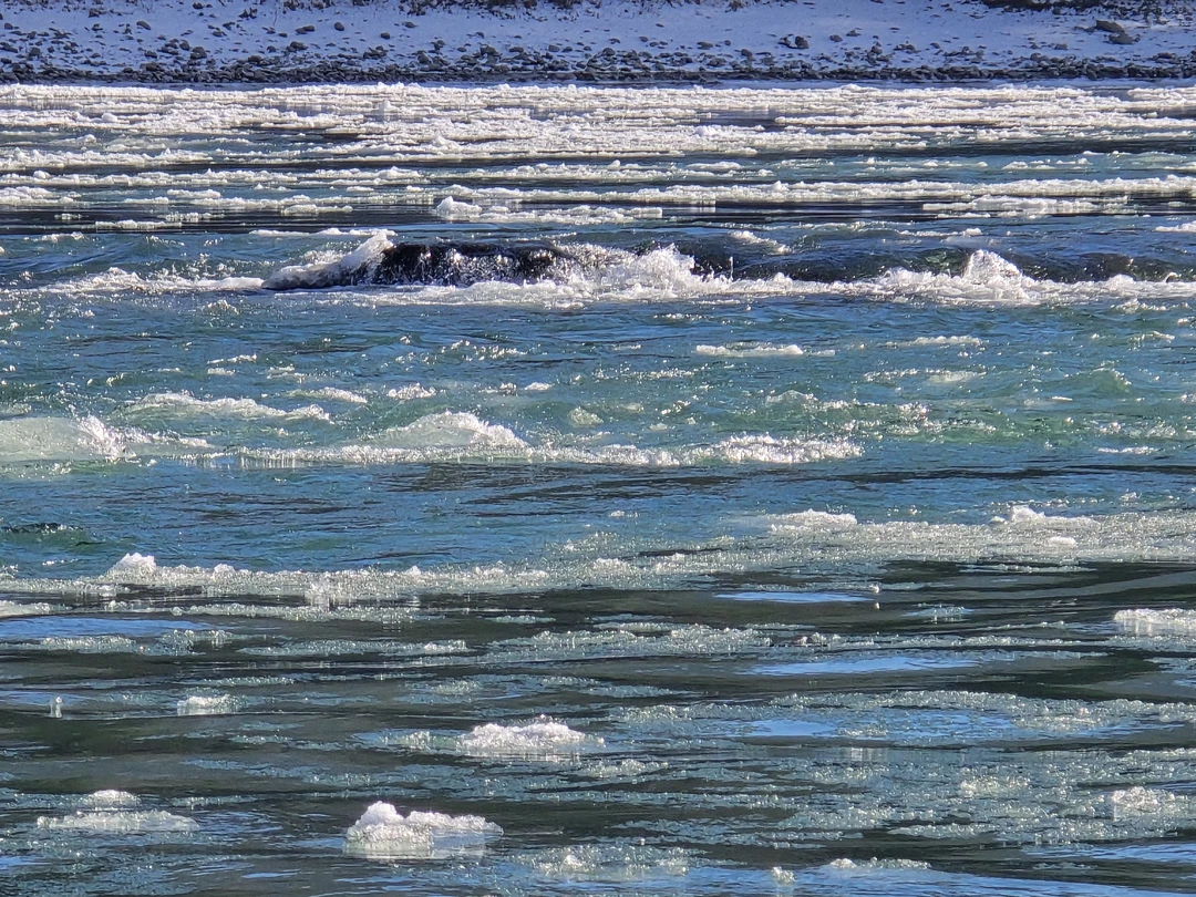 С семьей были несколько дней в Барнауле и попали на чудесную экскурсию к Инне. Понравилось всё: