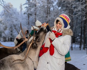 Олени, Мурманский краеведческий музей и Северное сияние