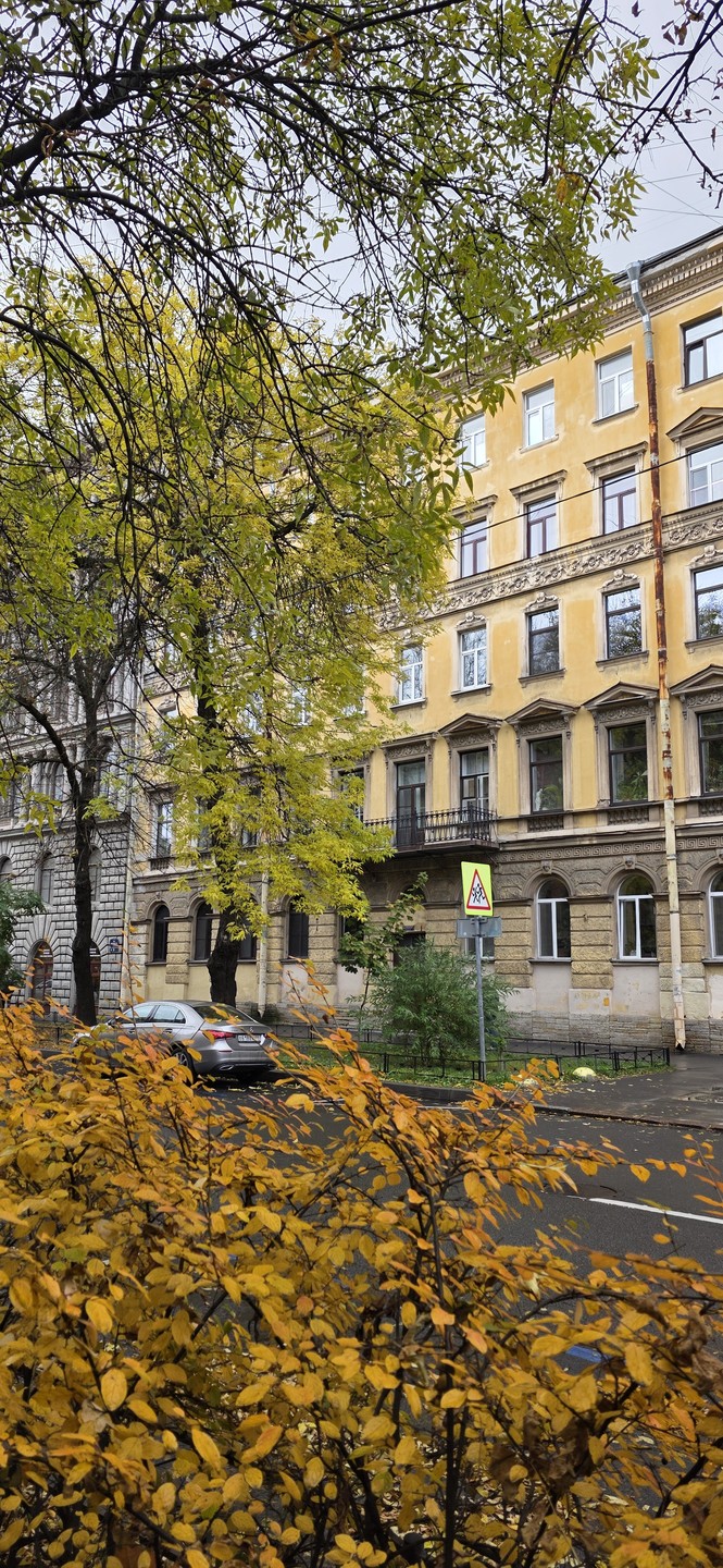 Очень увлекательная прогулка по Васильевскому с Марией. Узнали много нового, Мария интересный рассказчик. В следующий раз