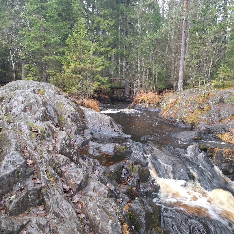 Хочу от лица всех членов семьи поблагодарить Евгения за интересную, увлекательную, доступную для всех возрастов в