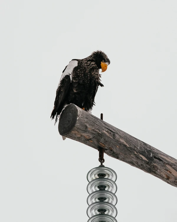 Джип-путешествие на мыс Левашова: от Тихого океана до Охотского моря