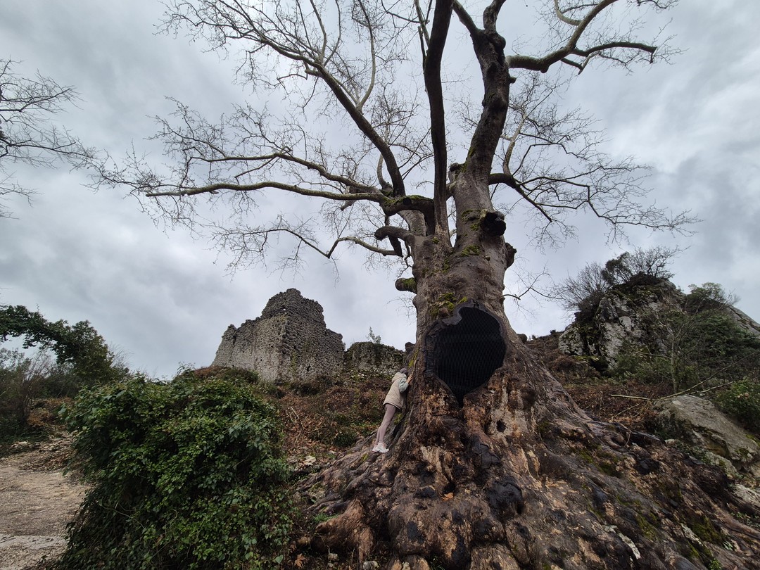 Очень понравилось путешествие с Алааддином, он никуда не торопил, мы наслаждались красотой гор, туманом (из туч)