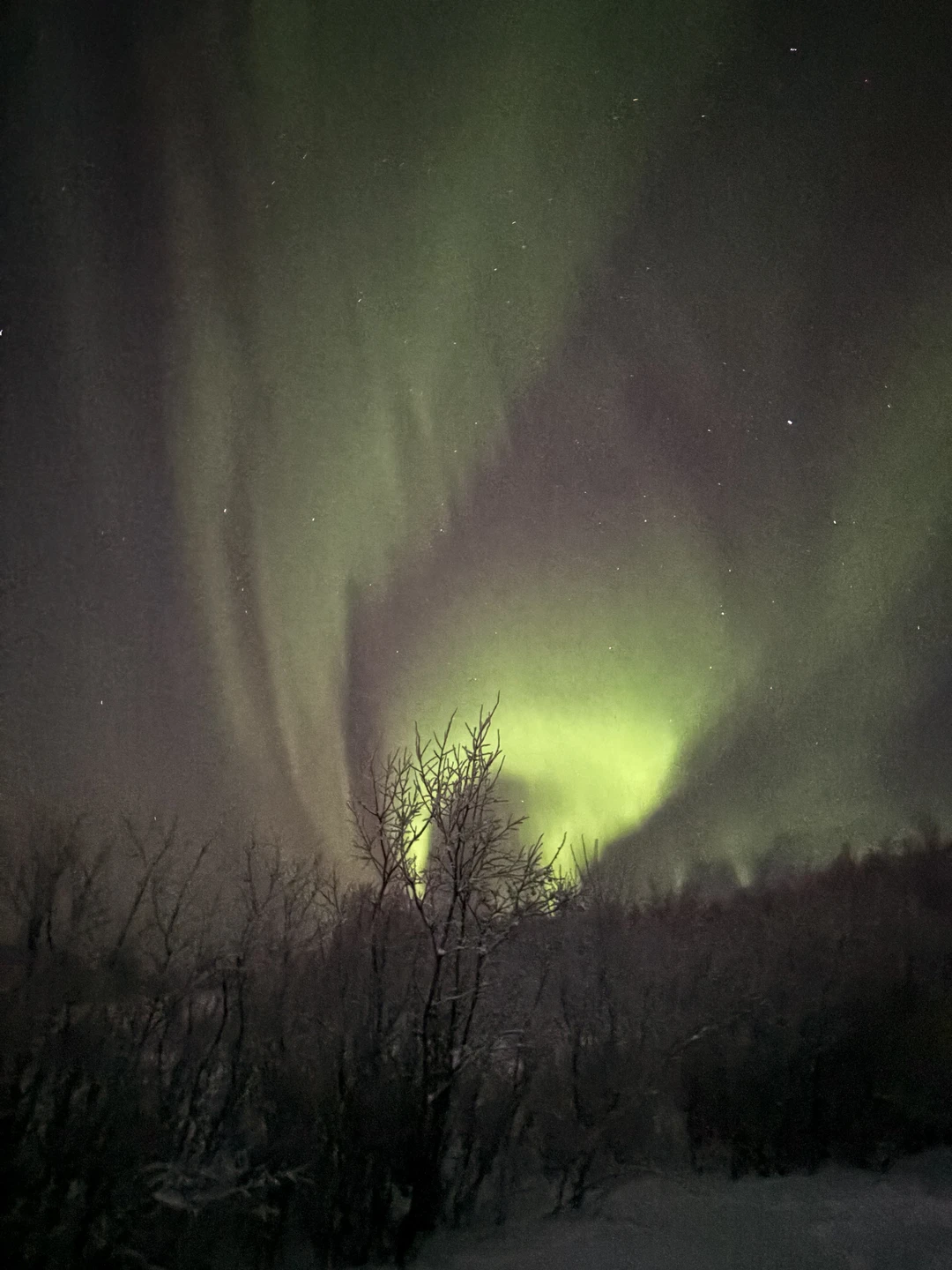 В погоню за полярным сиянием (Гулзада)