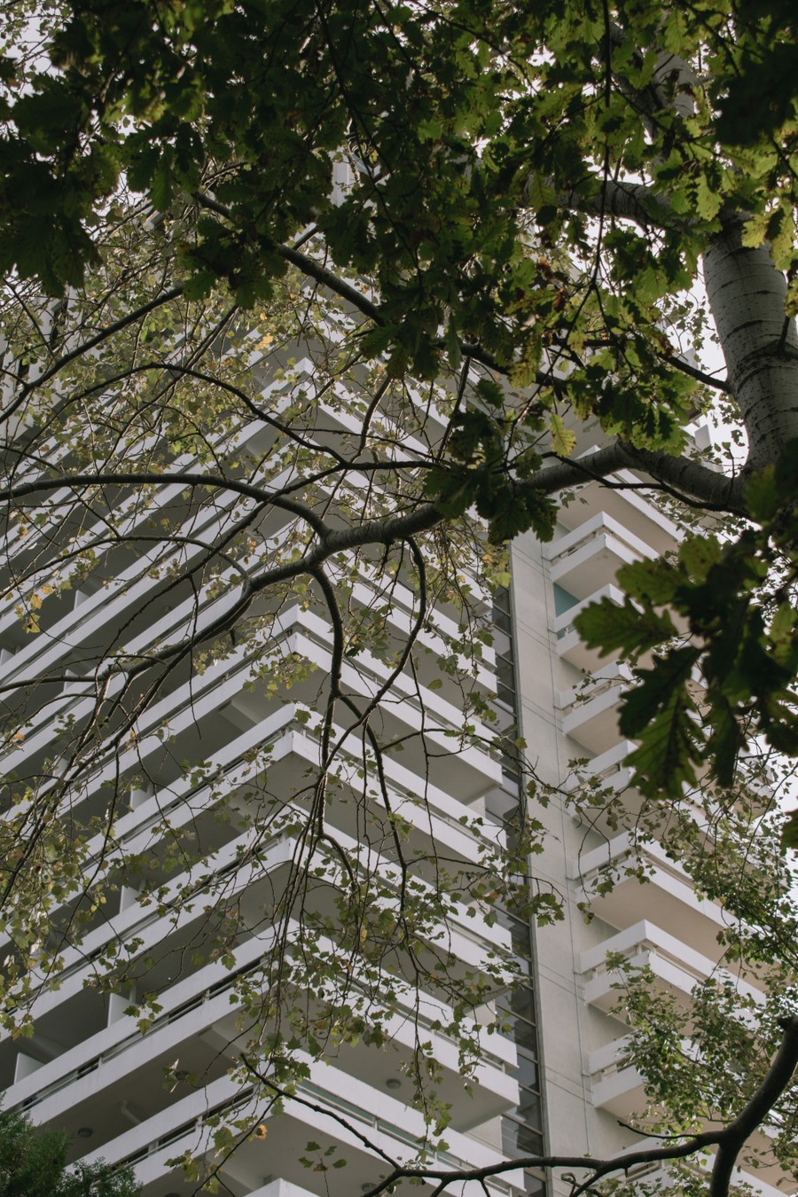 От модерна до брутализма: архитектурное наследие Сочи (3/9)