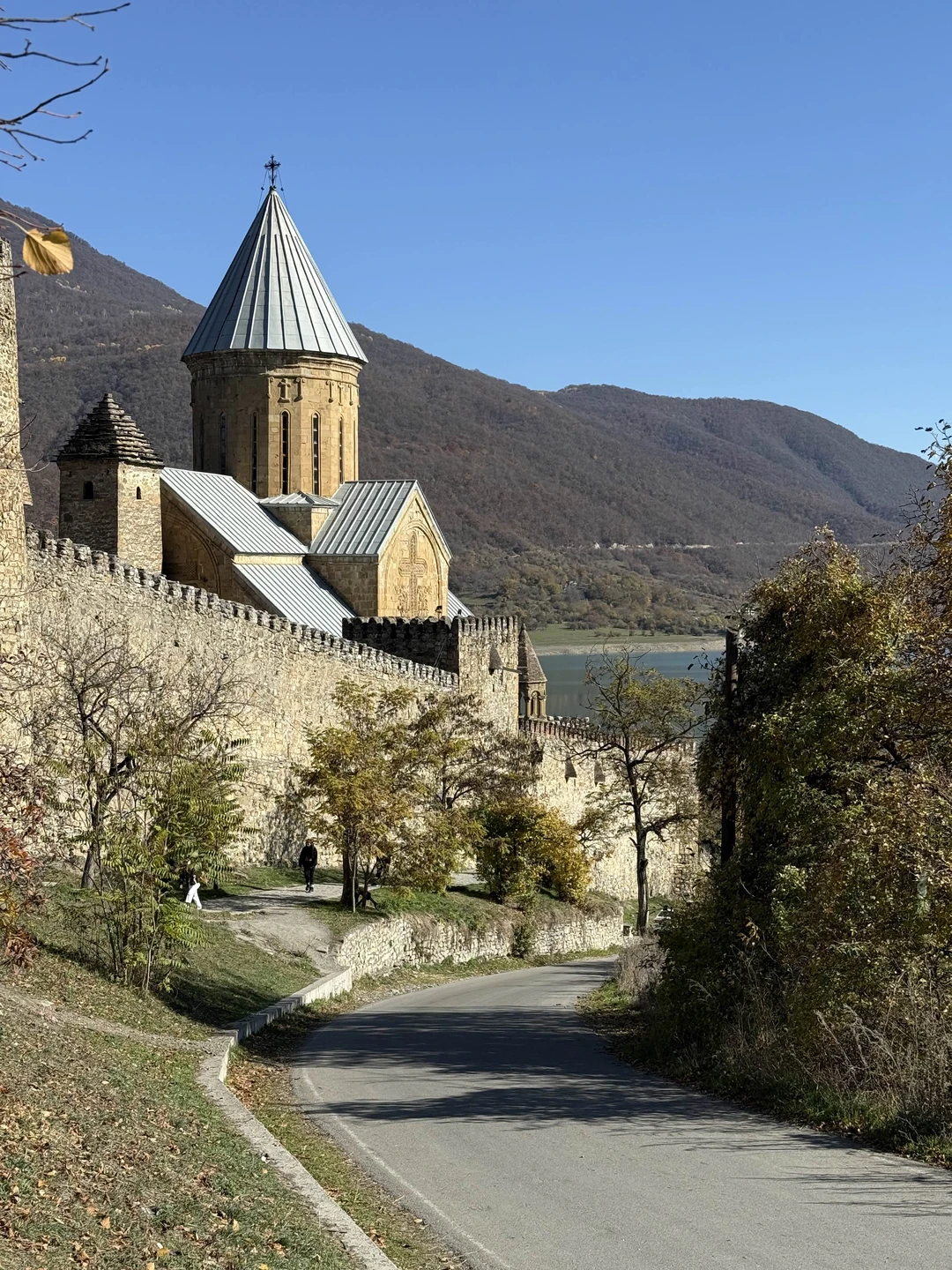 Экскурсия пушка! Природа Грузии восхитительна! Никаких лишних остановок! Владимир, в качестве гида топ! Много интересного узнали про историю Грузии!