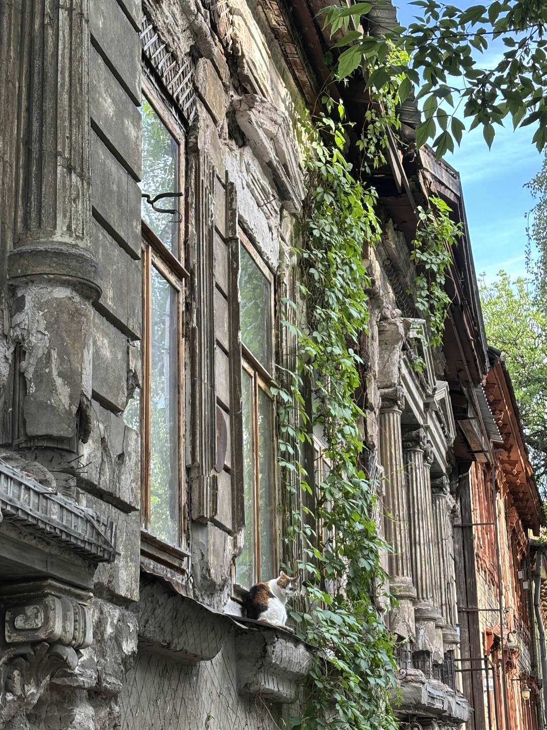 Любите гулять, заглядывая в переулки и дворы, куда не ступала нога туриста? О, этот квест подойдет просто идеально!
