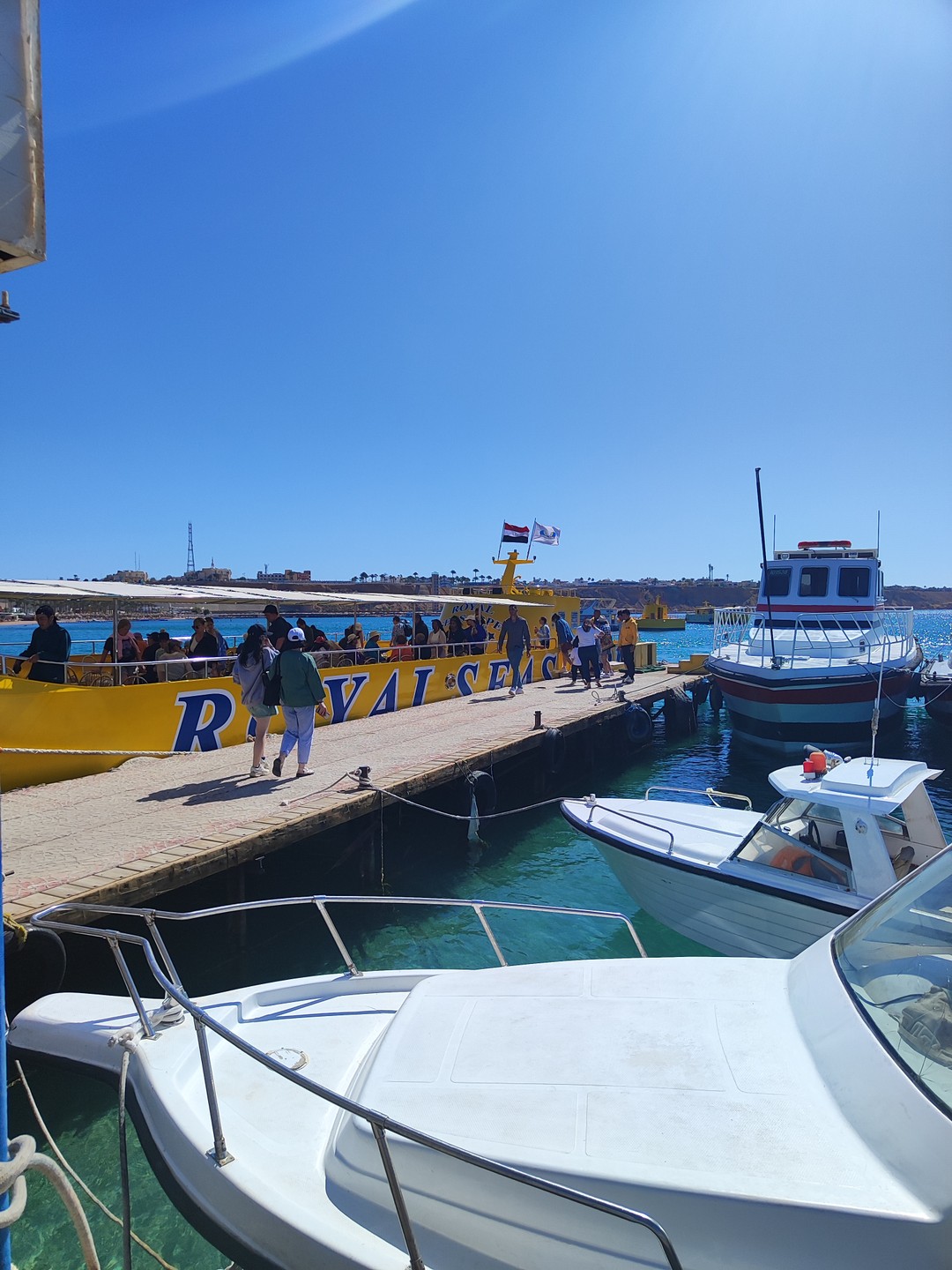 Морской круиз на лодке с прозрачным дном из Шарм-эль-Шейха (Елена)