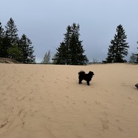 reviews img