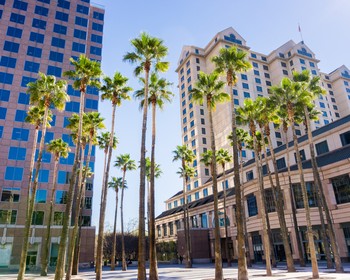 Возвращение в Сан-Хосе