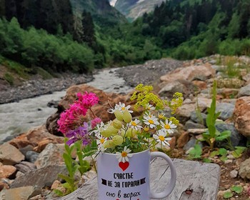 Возвращение в Минеральные Воды