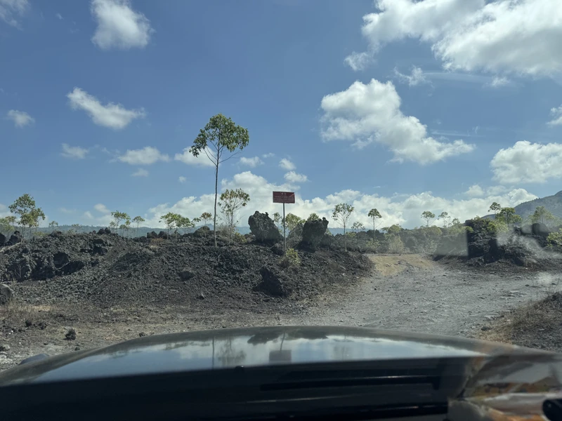 спасибо. все понравилось