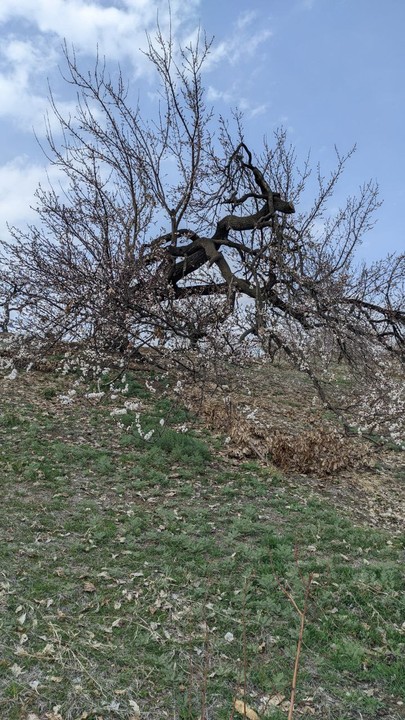 Фото отзыва 7: экскурсия "Вода живая и мёртвая: путешествие из Еревана"