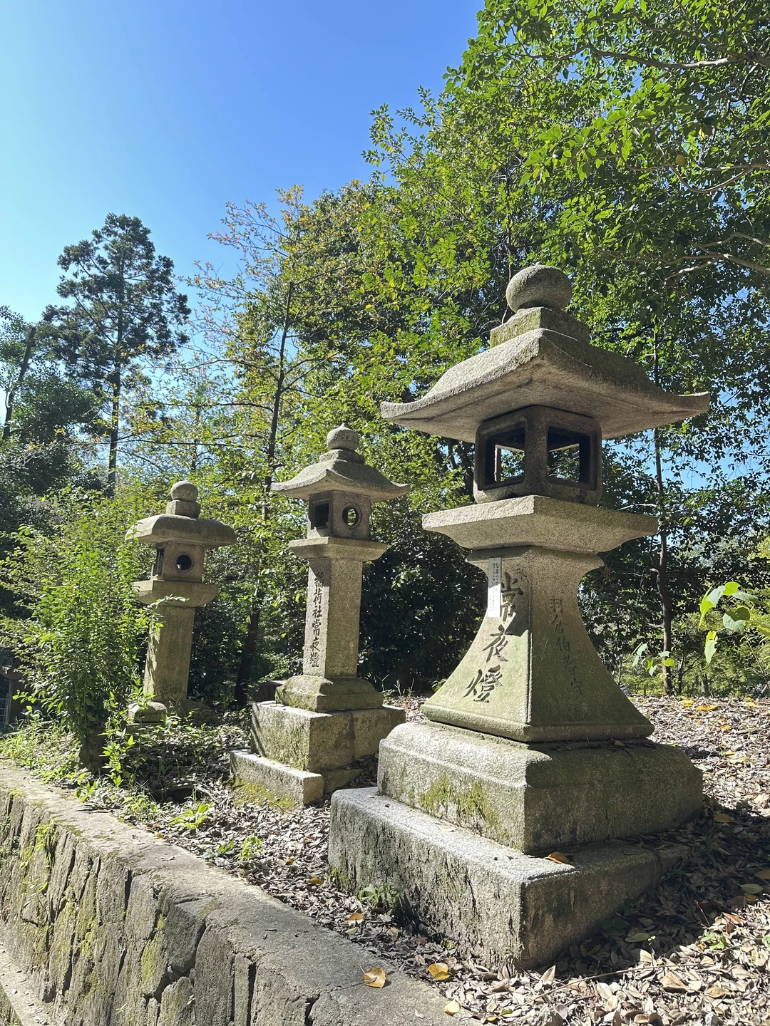 Экскурсионная программа очень понравилась. С Екатериной мы погуляли по району Гион и даже успели с дочкой