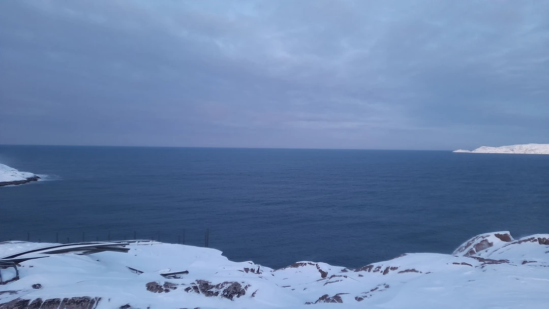 Киты, тюлени и невероятная Териберка (Ольга)