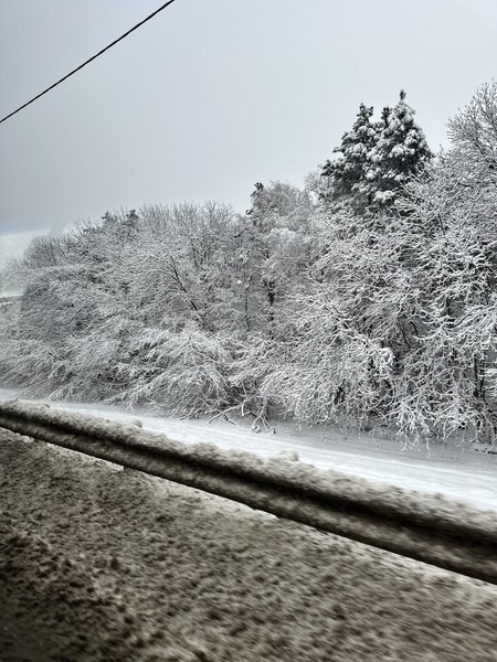 Спасибо большое Даниилу за Мега интересную экскурсию, даже двое детей остались под впечатлением, а детей сейчас удивить очень сложно!