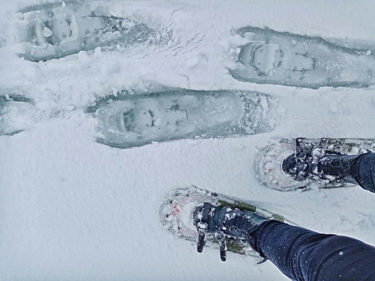 На снегоступах — к Семужному озеру! (10/12)