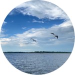 Мельникова