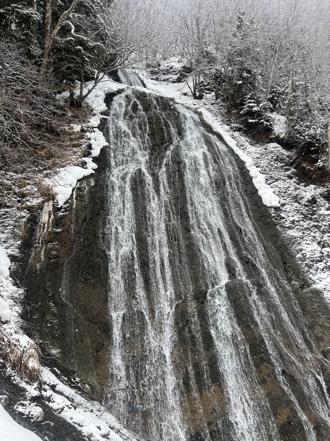 Фото отзыва 1: экскурсия "Те самые Тихая и Клоковский: мыс, водопад, янтарь, Тории, крабы"