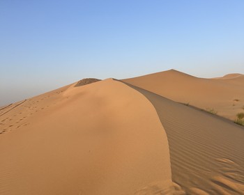 Море, колесо обозрения и сафари в пустыне