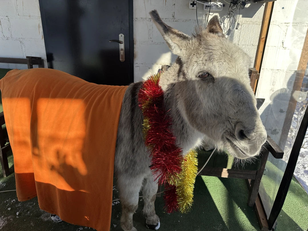 导游Владислав非常迷人，他的队伍都团结友爱，大家都在出发的时候就互相认识，并一起行动，相互帮助。路线和游玩都十分满意，十分推荐这位导游。