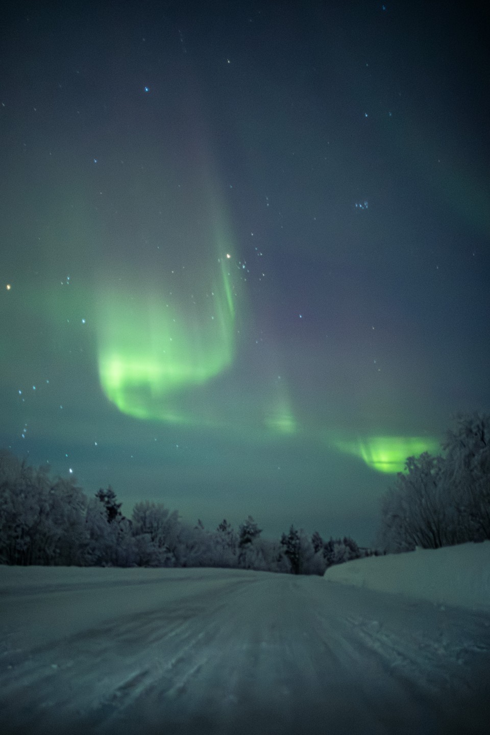 Северное сияние в Мурманске - увидеть хотя бы раз (Наталья)